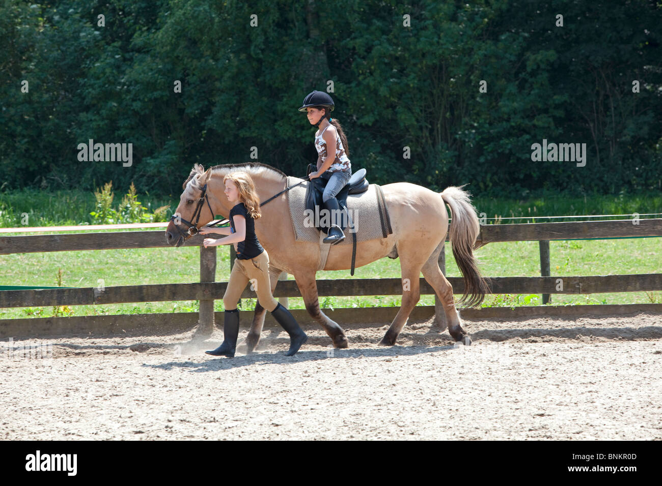 Horse riding lessons for children Stock Photo Alamy