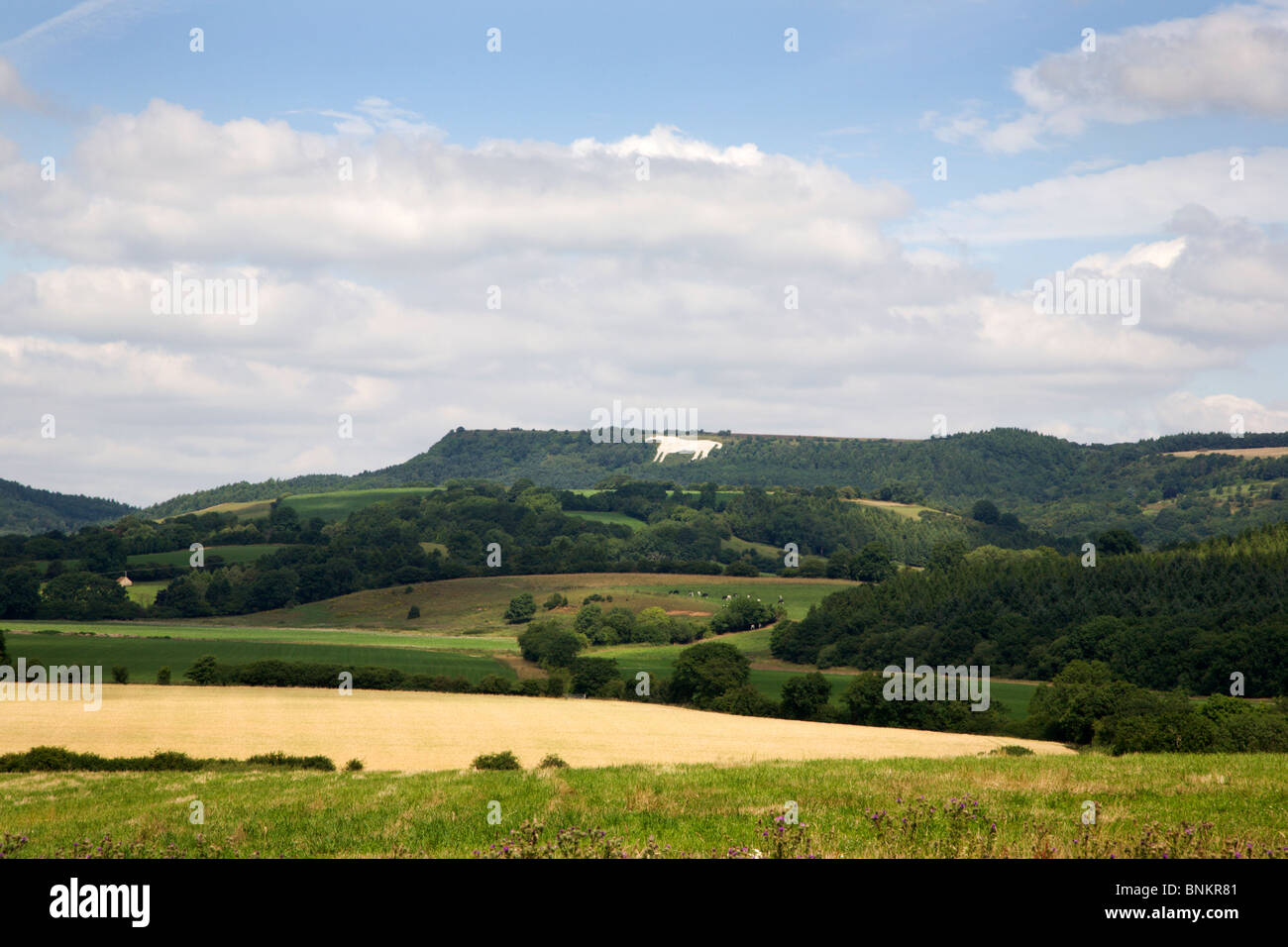 The White Horse Kilburn North Yorkshire England Stock Photo Alamy