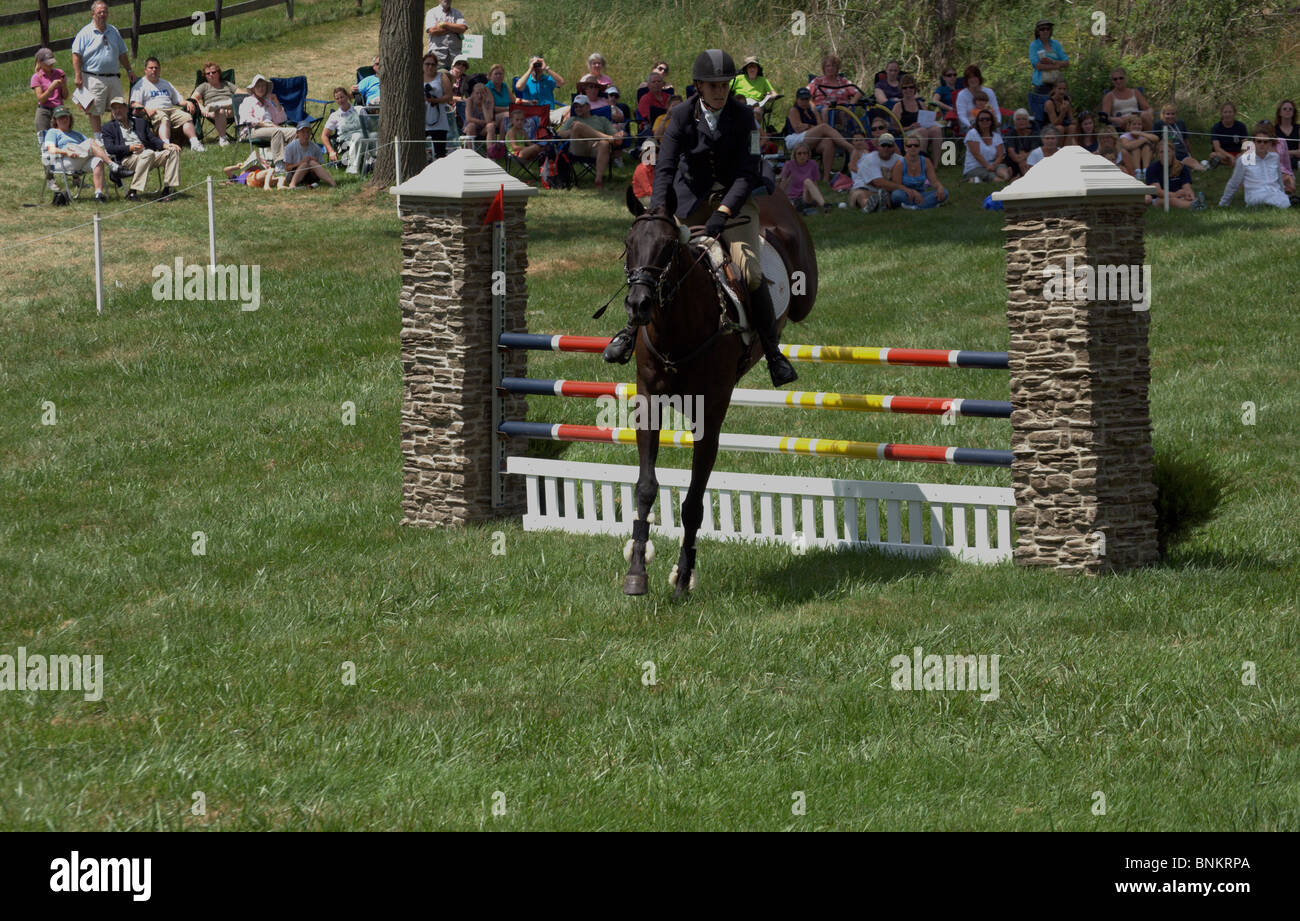Horse and rider jump fence at Stuart Horse Trials 2010 in Show Jumping Stock Photo