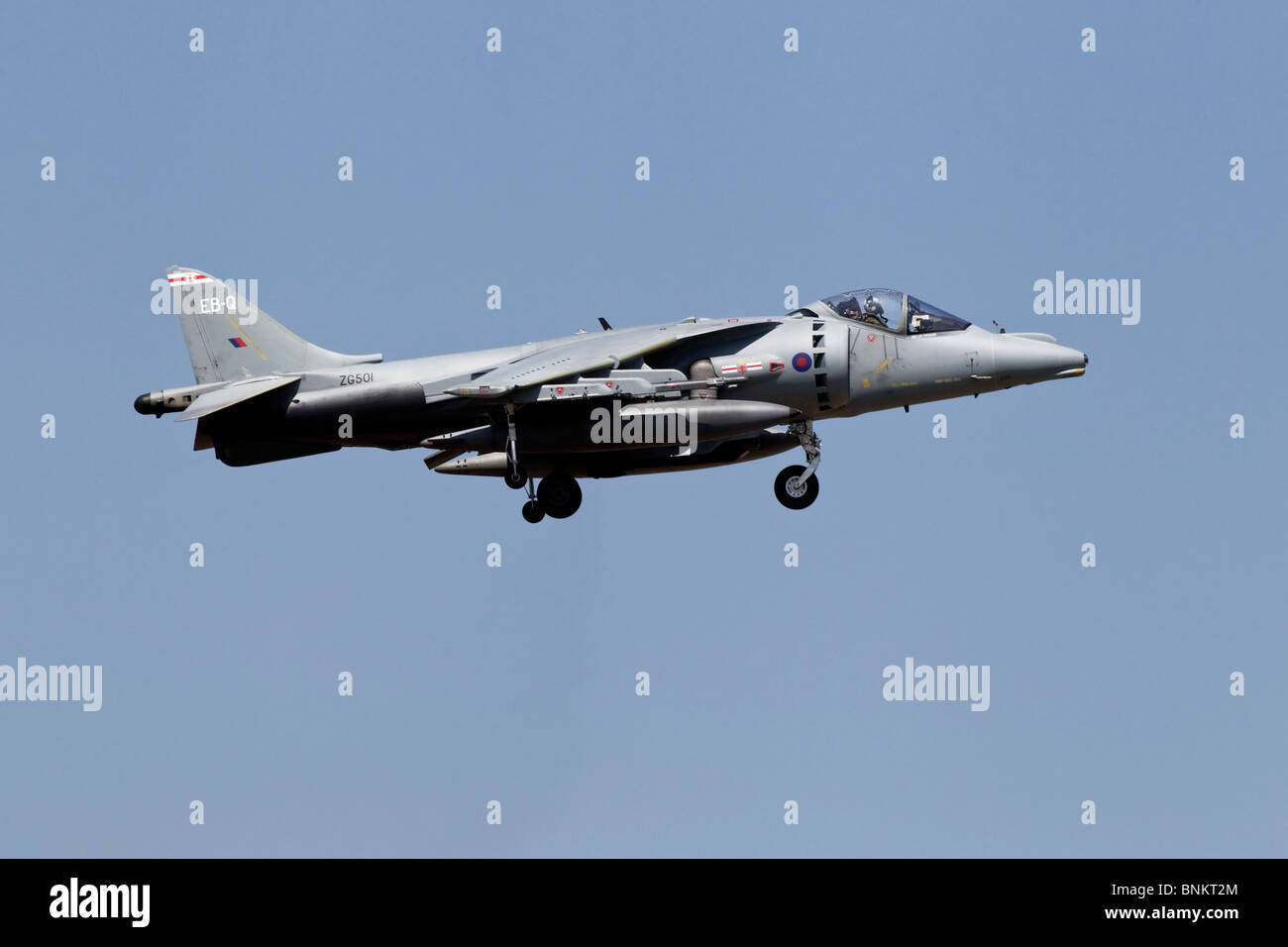 A Bae systems Harrier ground attack and strike aircraft of the RAF Stock Photo