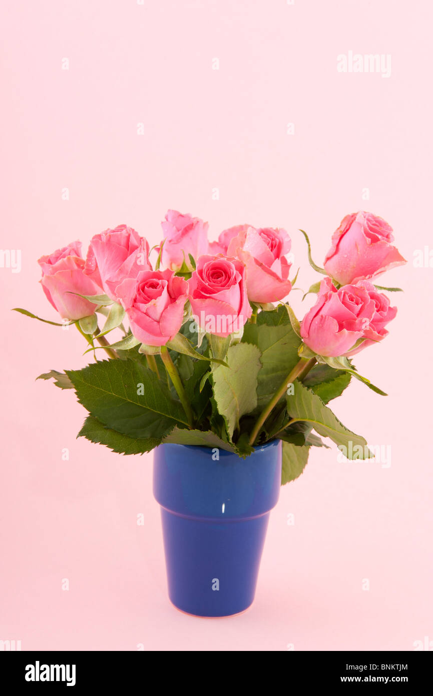 Pink roses in blue vase on colorful background Stock Photo - Alamy