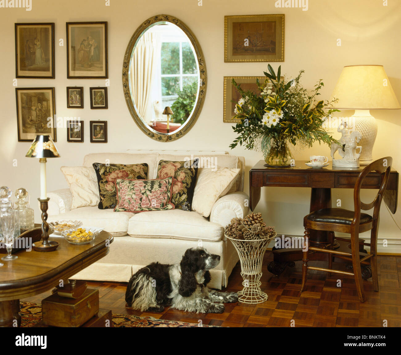Dog Lying On Floor In Front Of Cream Sofa In Cottage Living