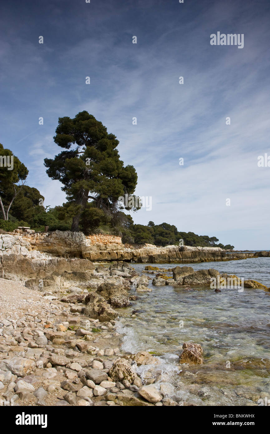 St Marguerite Island Stock Photo Alamy