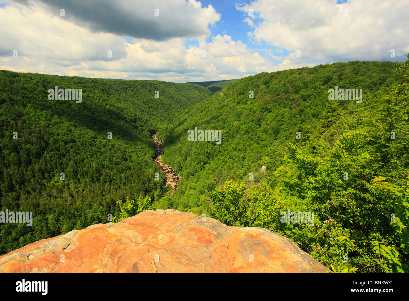 Hiker looks into Blackwater River Canyon from Pendleton Point Overlook, Blackwater Falls State Park, Davis, West Virginia, USA Stock Photo