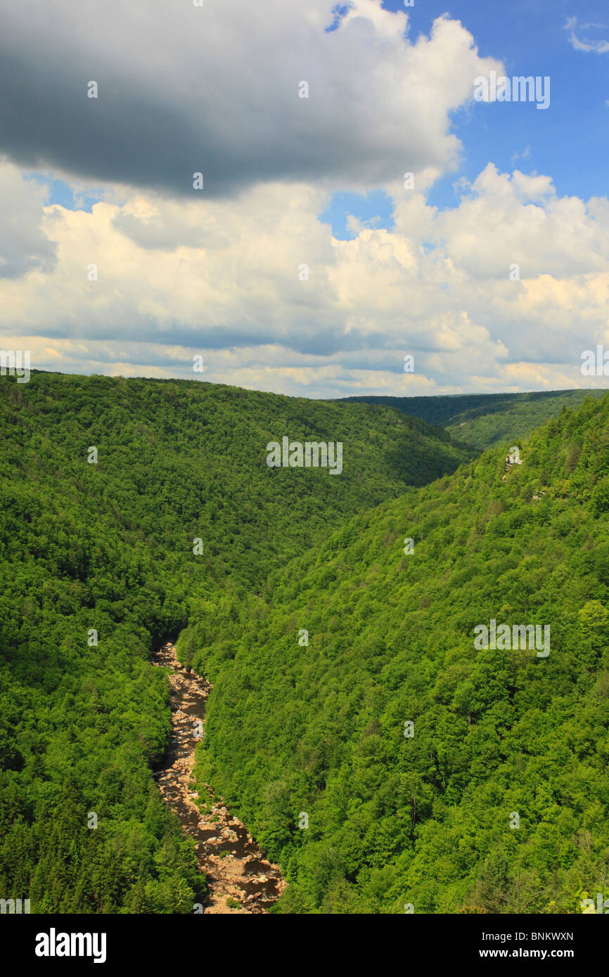 Blackwater River Canyon from Pendleton Point Overlook, Blackwater Falls State Park, Davis, West Virginia, USA Stock Photo