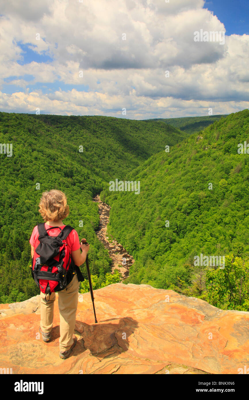 Hiker looks into Blackwater River Canyon from Pendleton Point Overlook, Blackwater Falls State Park, Davis, West Virginia, USA Stock Photo