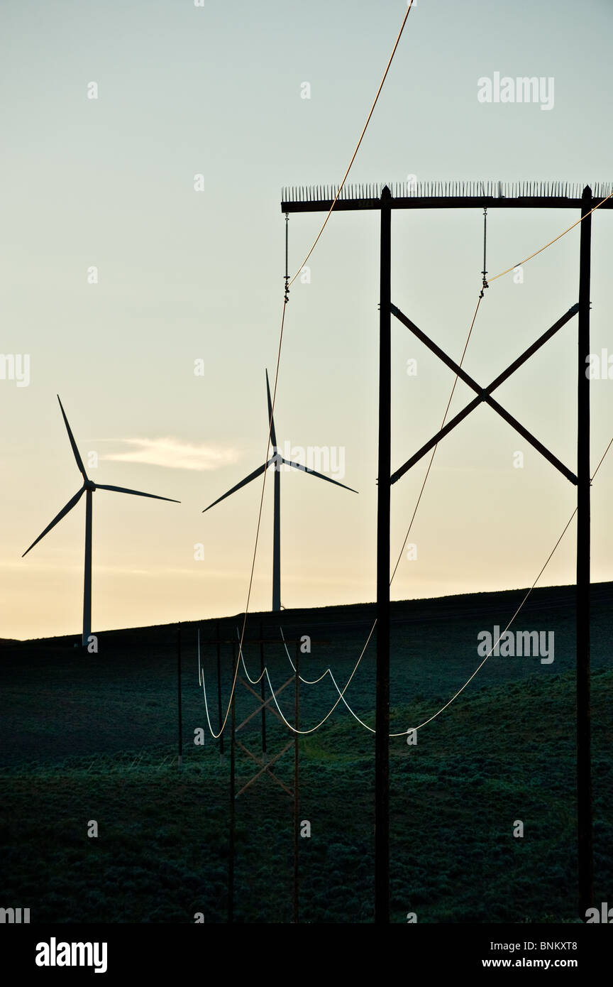Giant wind turbines and power lines at sunset Stock Photo - Alamy