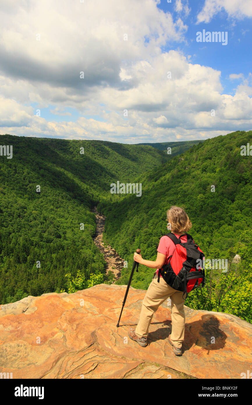 Hiker looks into Blackwater River Canyon from Pendleton Point Overlook, Blackwater Falls State Park, Davis, West Virginia, USA Stock Photo