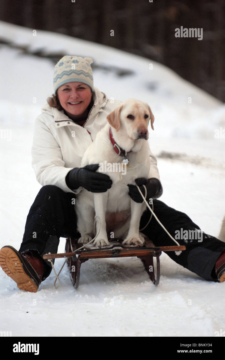 A woman sleds down a hill along with her dog for a ride in Fayston, VT during a winter slide. Stock Photo