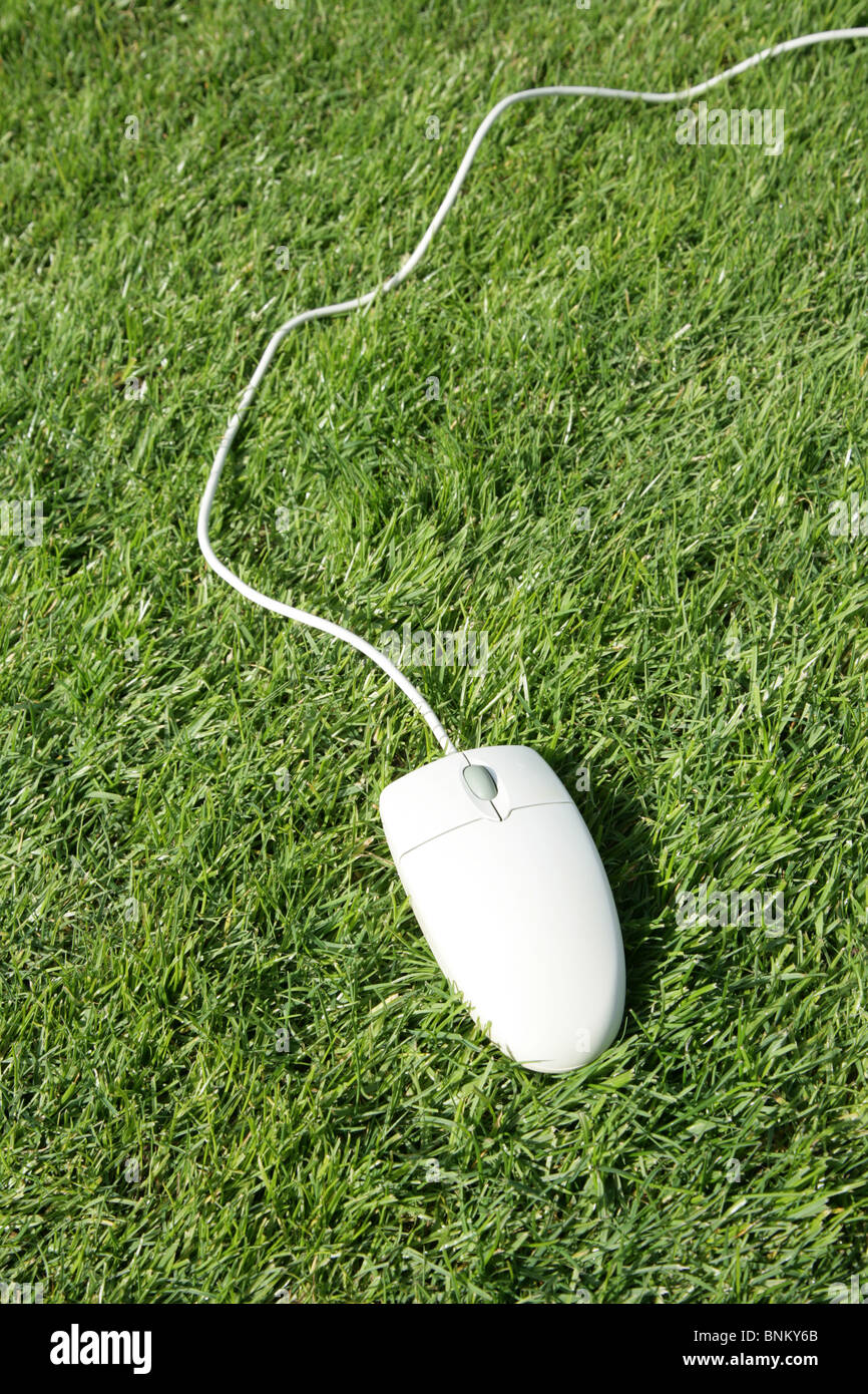 Computer Mouse and lawn, concept of Freedom, Environment Protection Stock Photo