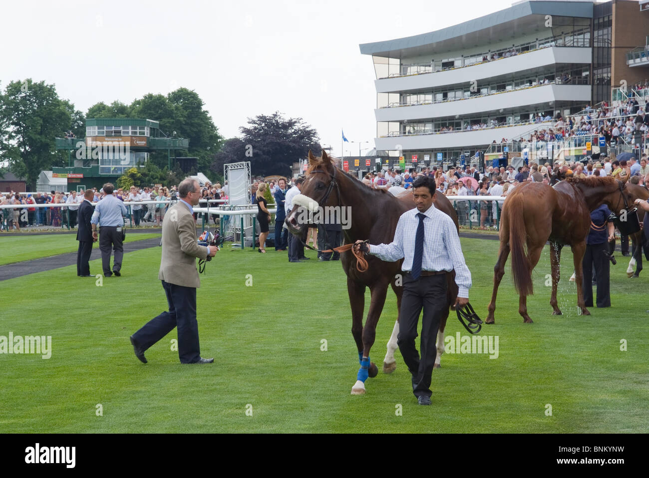 Strong Vigilance in the winners enclosure at Doncaster Racecourse Stock Photo