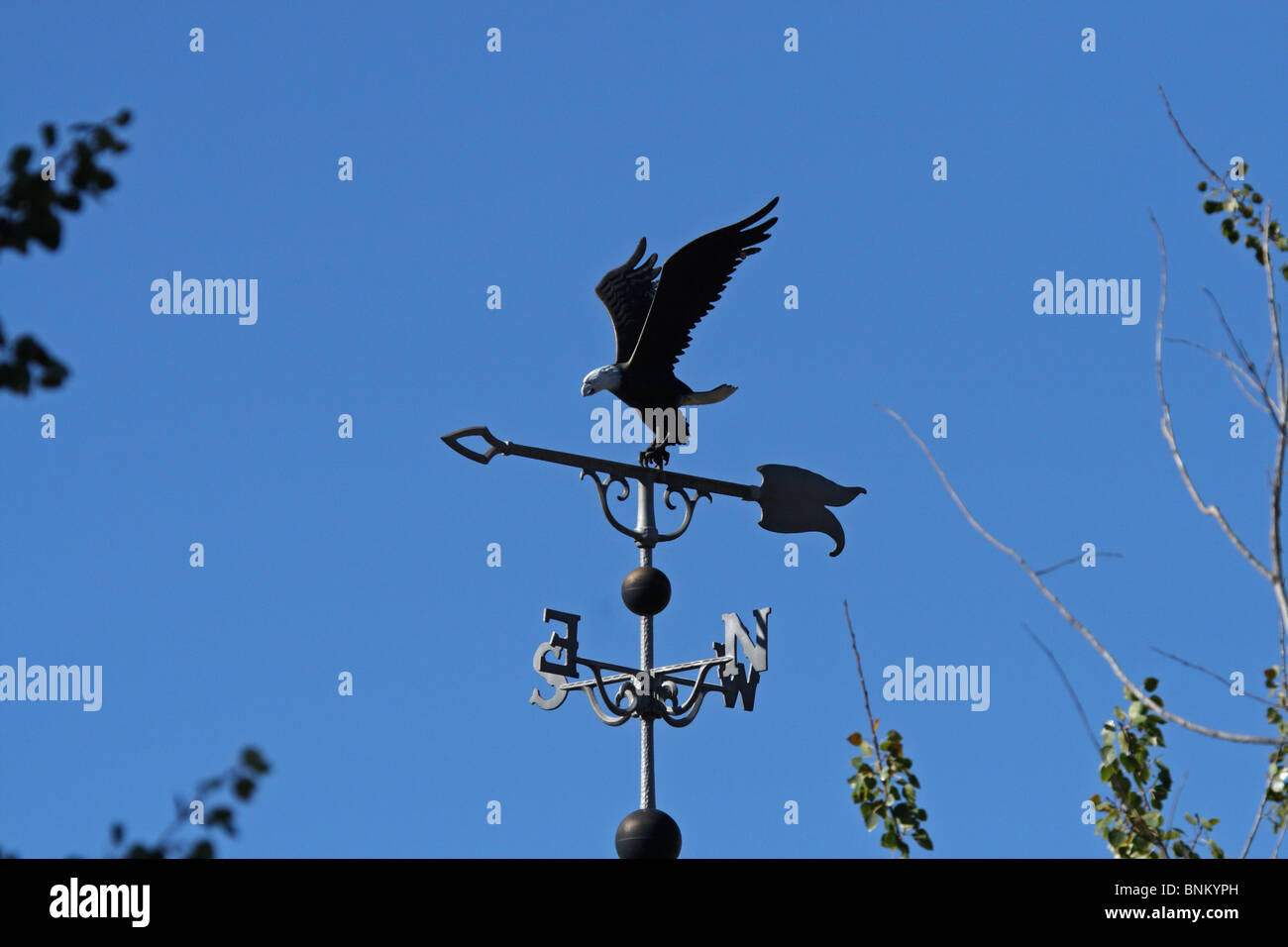 Bald Eagle weathervane, Big Bear Lake, San Bernardino National Forest