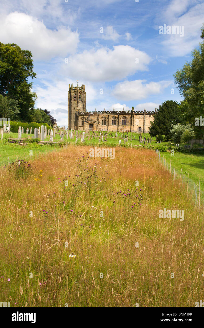 Wild Flower Area at St Michaels Church Coxwold North Yorkshire England Stock Photo