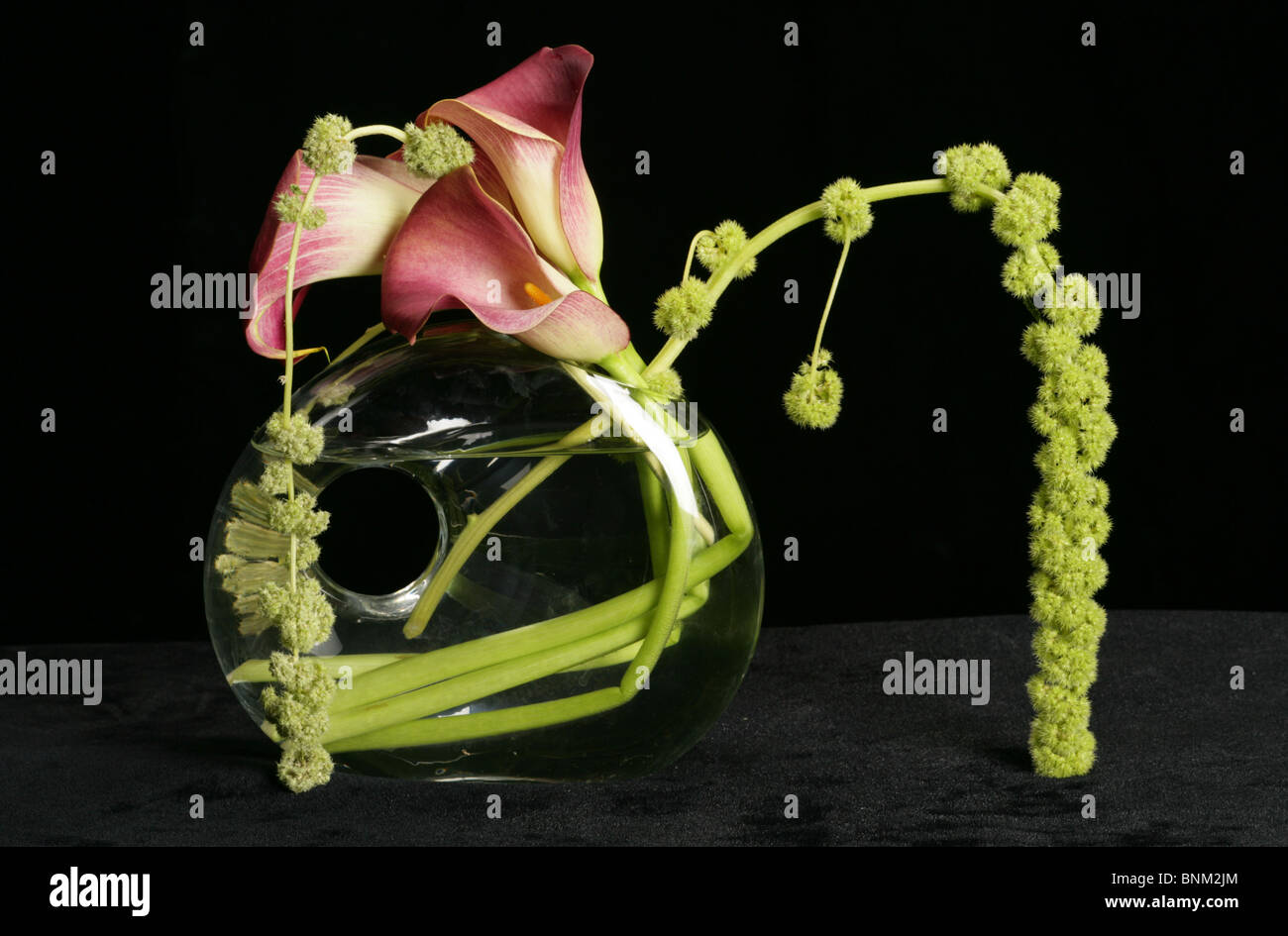 pink Calla Lilies glass vase Stock Photo - Alamy