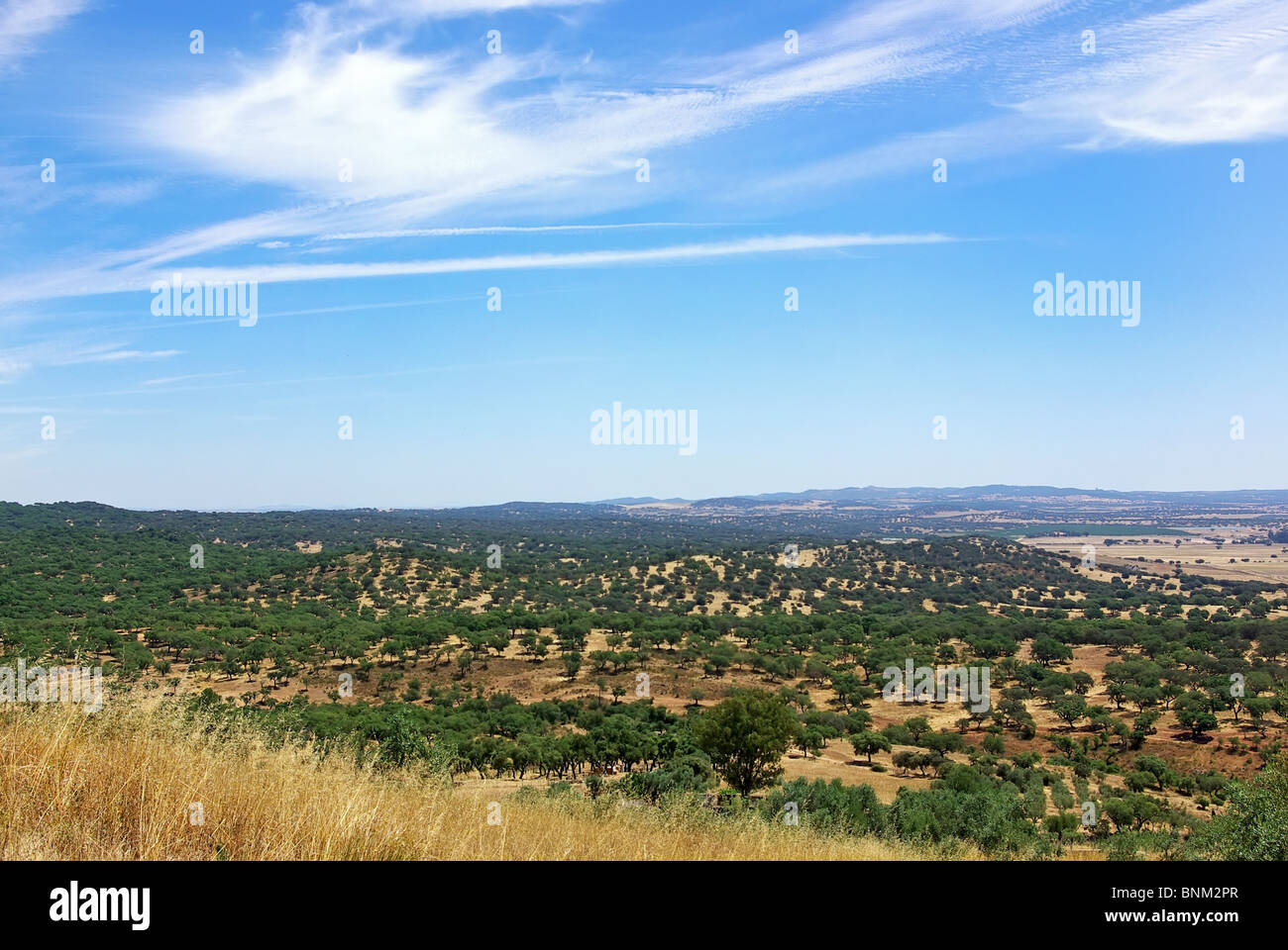 Landscape of Alentejo region, south of Portugal. Stock Photo