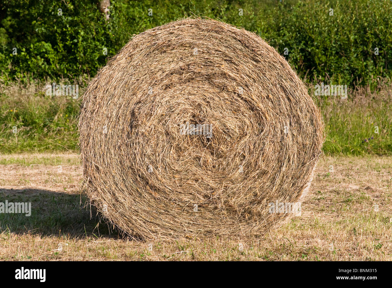 Straw Bales – Sold By The Bale (Add-On – 10 Maximum)
