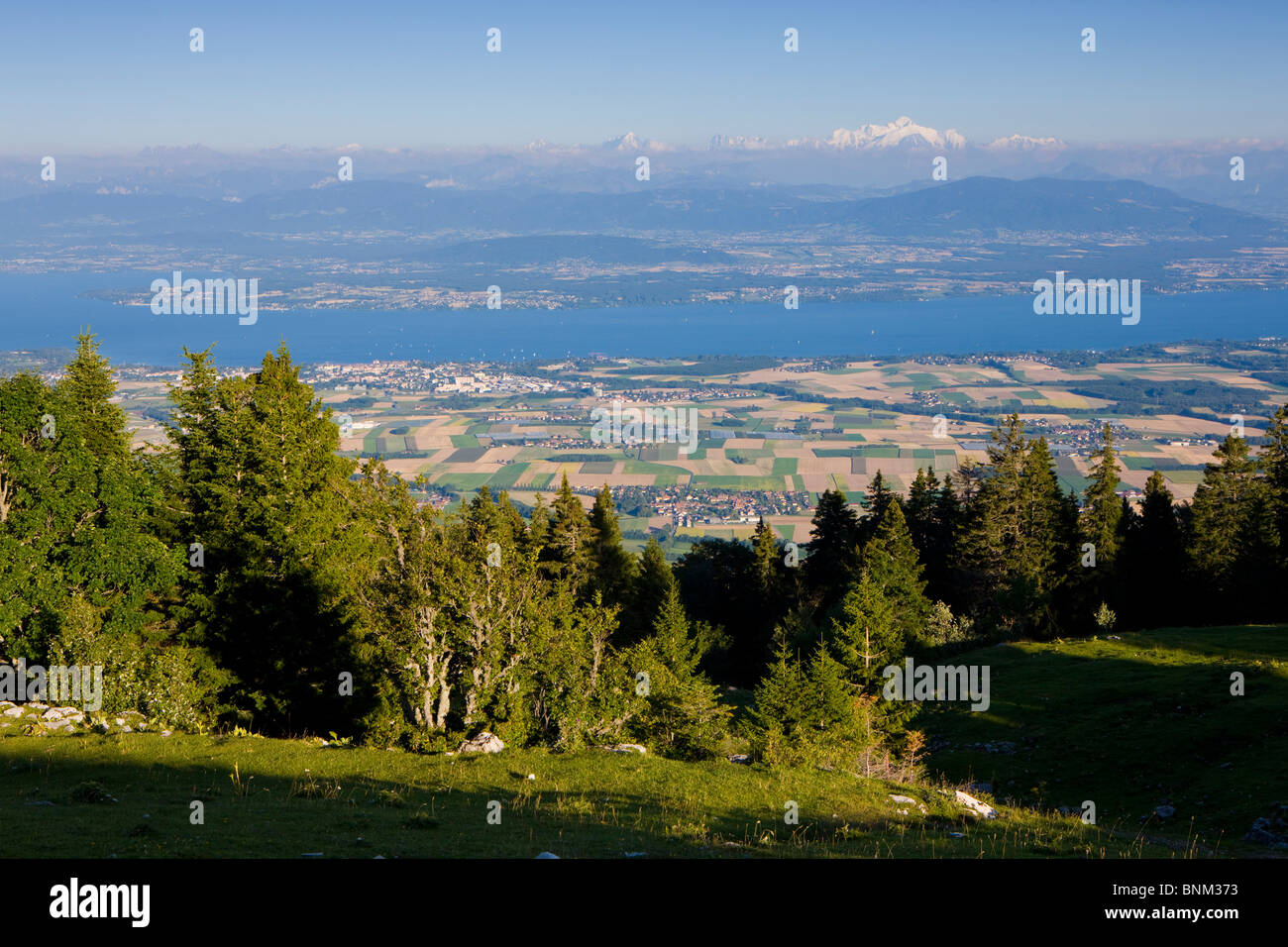 view La Dôle Switzerland canton Vaud Vaud lands Jura view mountain lake of Geneva France Montblanc wood forest, Stock Photo