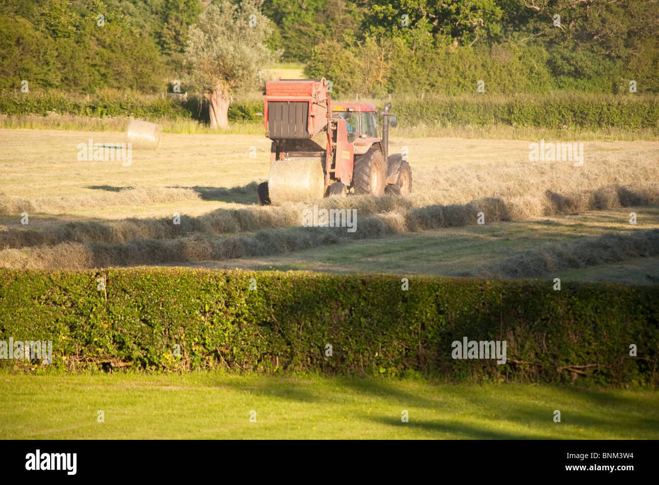 Hay making on a farm, Wiltshire, England Stock Photo