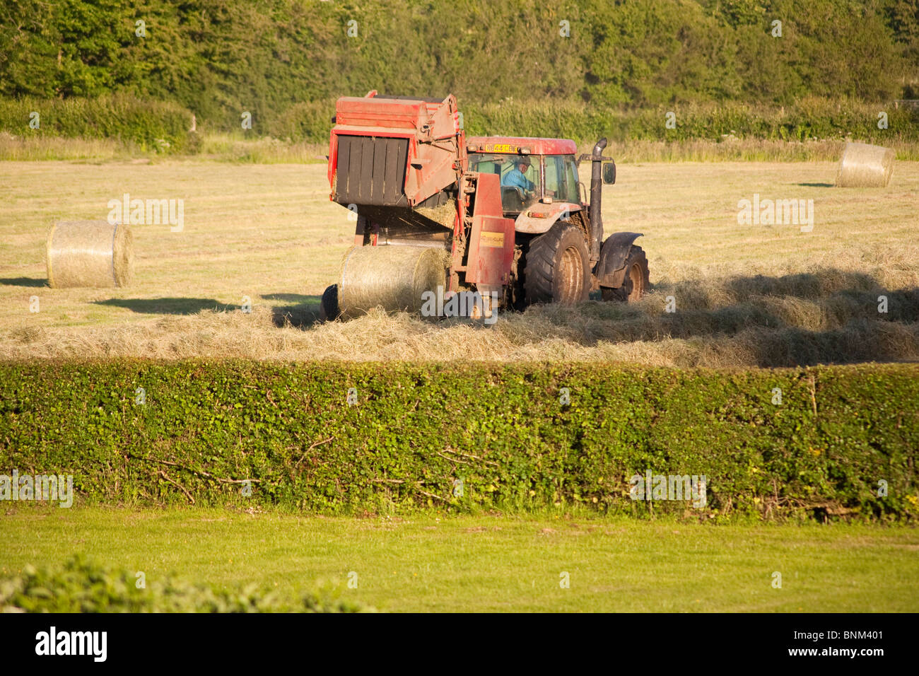Hay making on a farm, Wiltshire, England Stock Photo