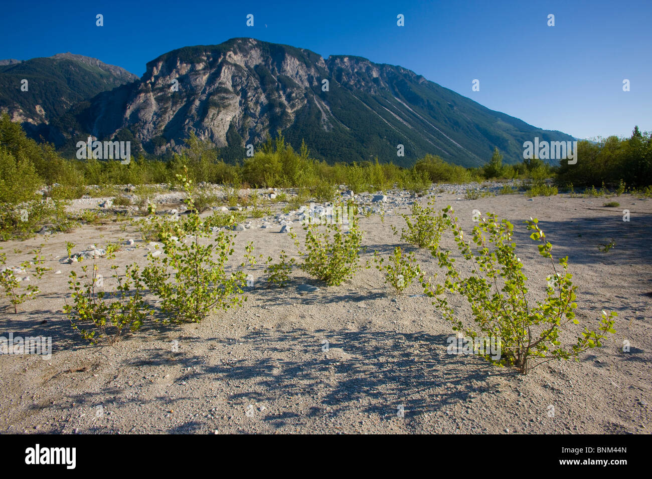 Schwemmland High Resolution Stock Photography and Images - Alamy