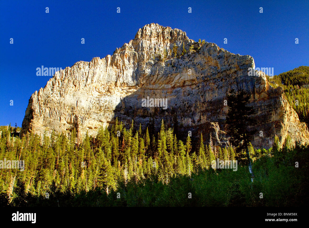 Mount Charleston area, Nevada, USA Stock Photo Alamy