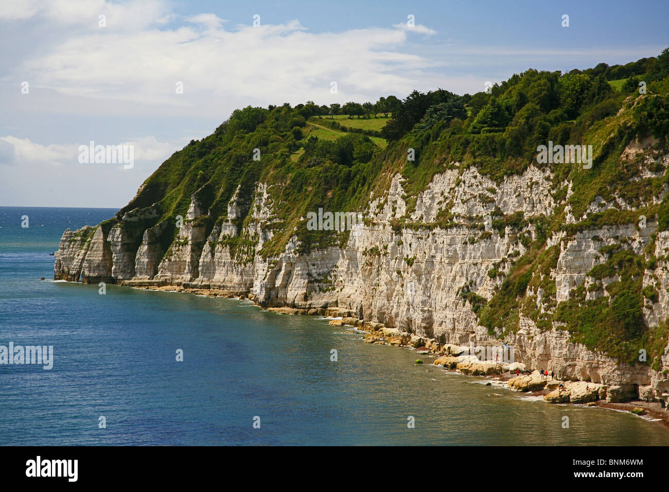 The chalk cliffs at Beer Head, Devon, England, UK Stock Photo Alamy