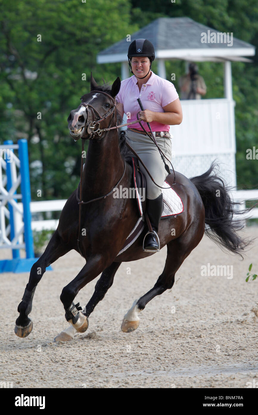 A rider and horse turning sharply during a horse show. Stock Photo