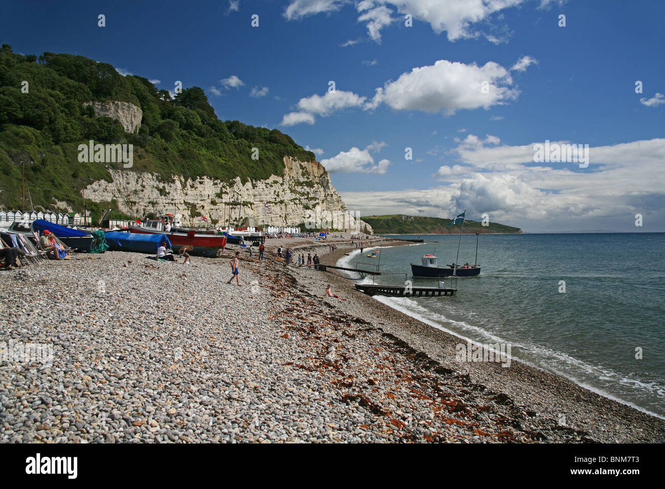 The beach at Beer, Devon, England, UK Stock Photo Alamy