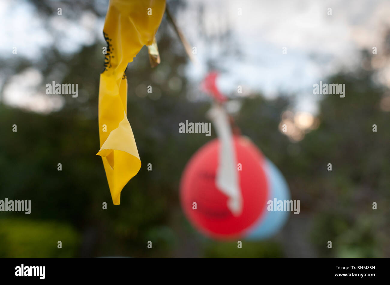Balloons-selective focus Stock Photo
