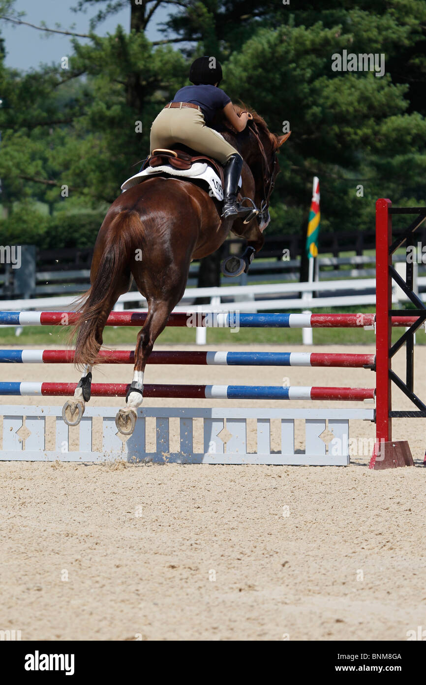 A horse and rider jumping a fence during a horse show Stock Photo - Alamy