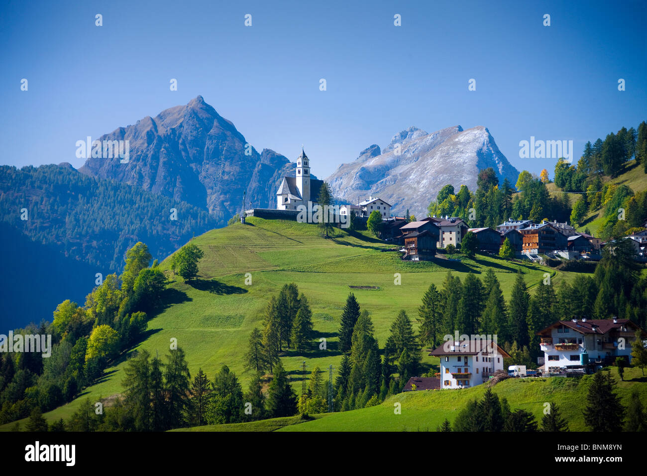 Italy Alps Veneto Dolomites Cadore hill wood forest meadows holidays travel, Stock Photo