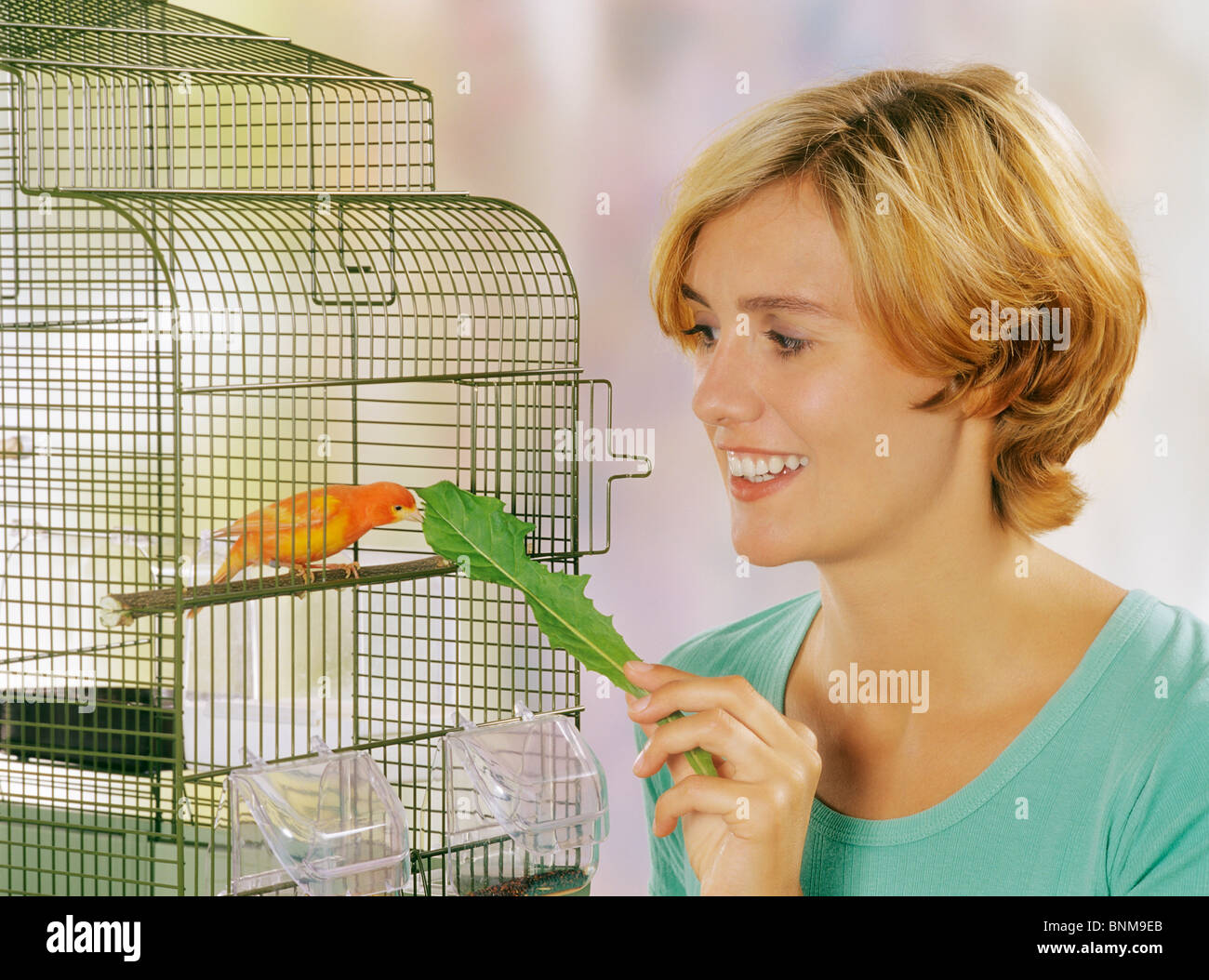 woman feeding a canary in a cage Stock Photo
