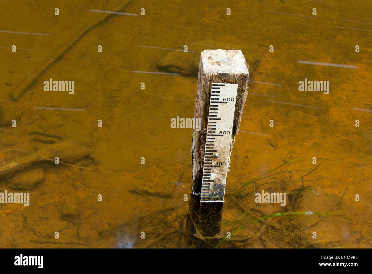 A river level gauge in the river Blackadder, Scottish Borders Stock Photo