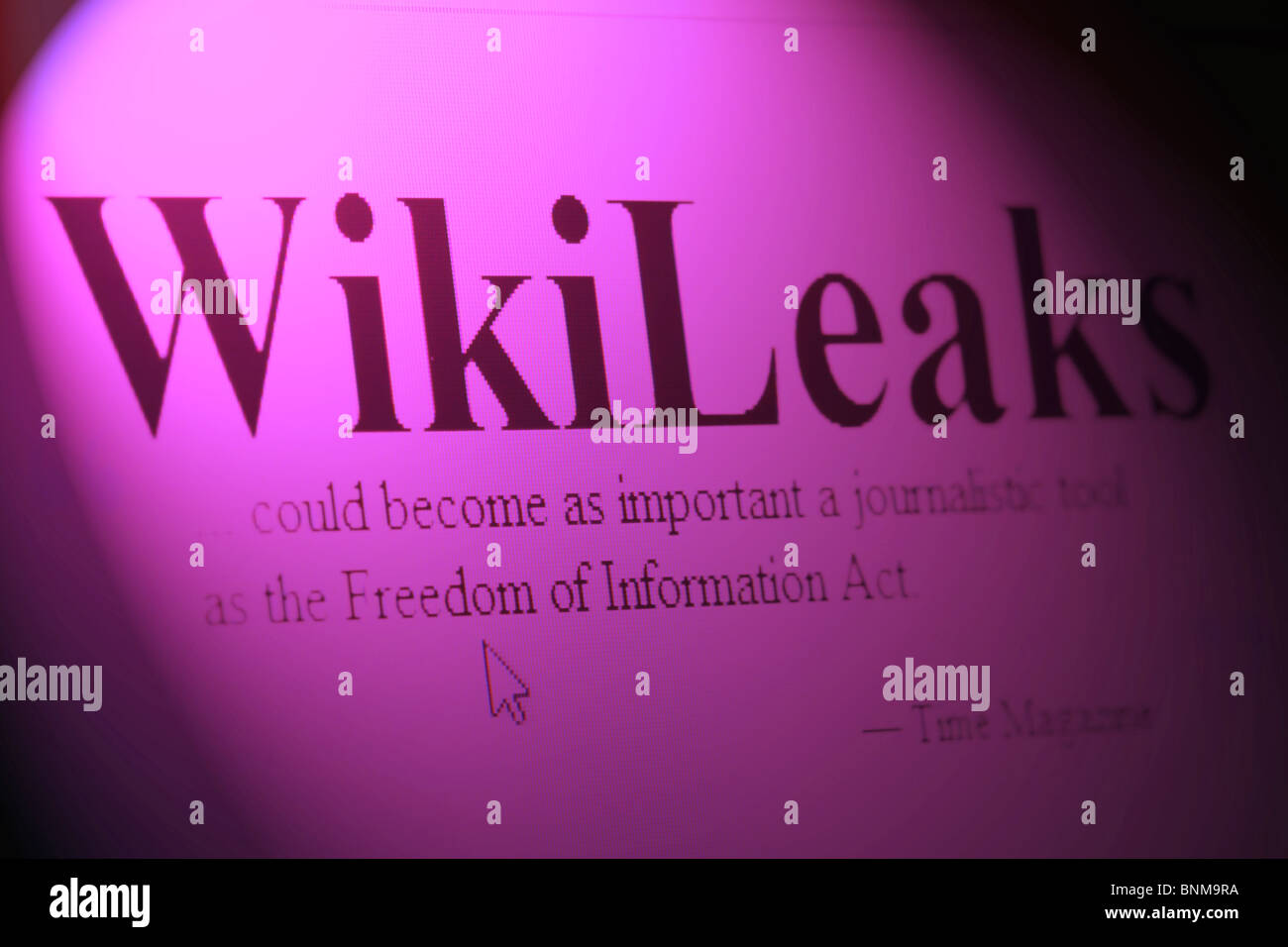 Wikileaks web page Stock Photo