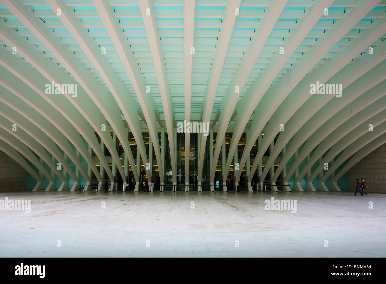 Spain Asturias Oviedo congressional palace architecture ribs Calatrava place space holidays travel, Stock Photo