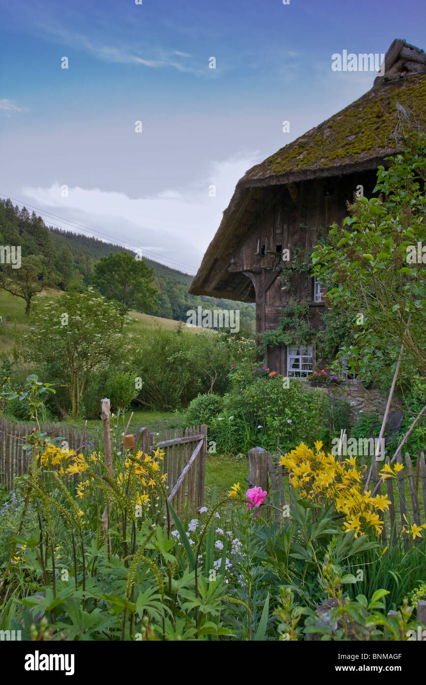 Gutach Baden-Wurttemberg Germany nature reserve Black Forest oil mill old house home framework thatched roof history story farm Stock Photo