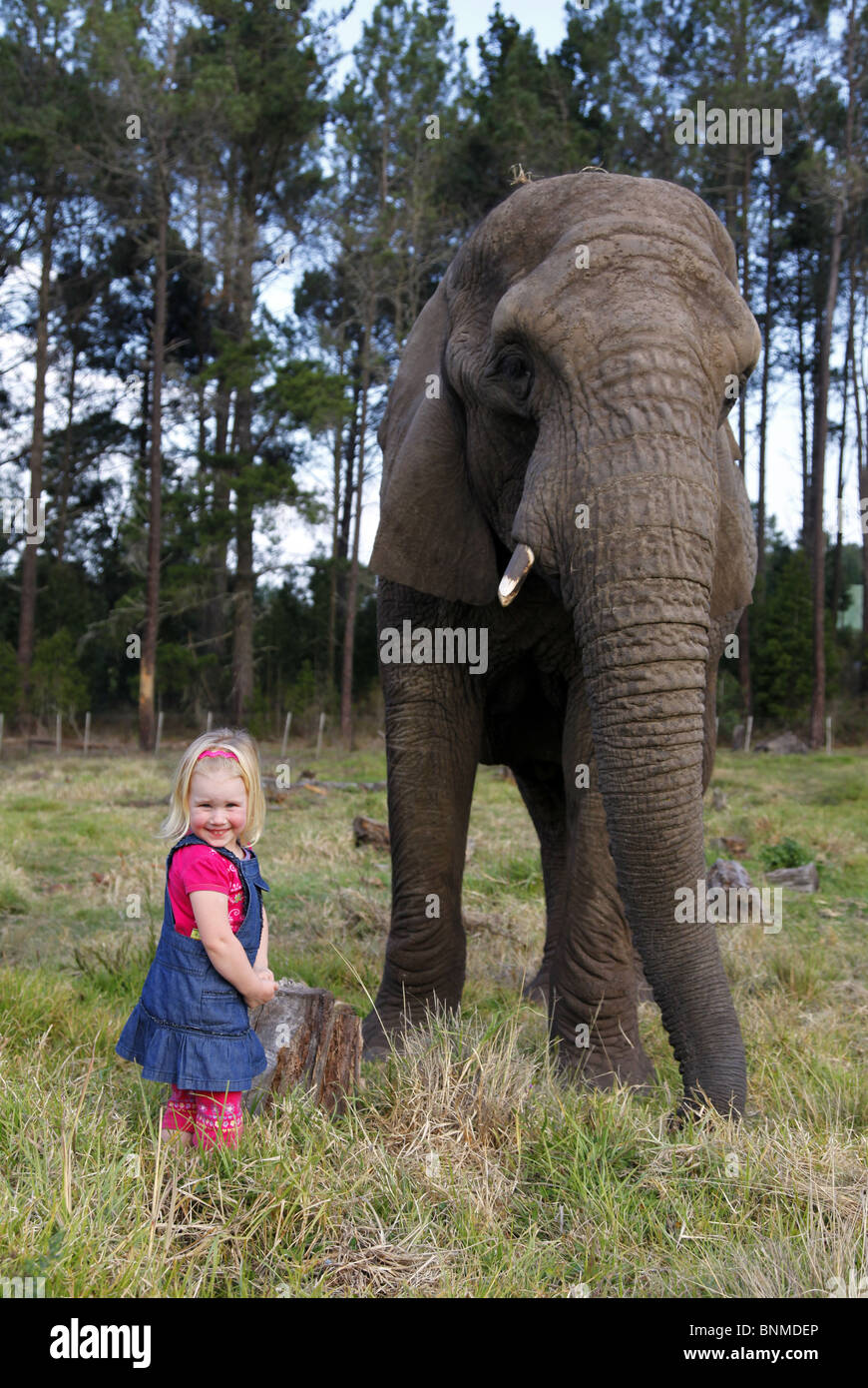 Child with elephant hi-res stock photography and images - Alamy