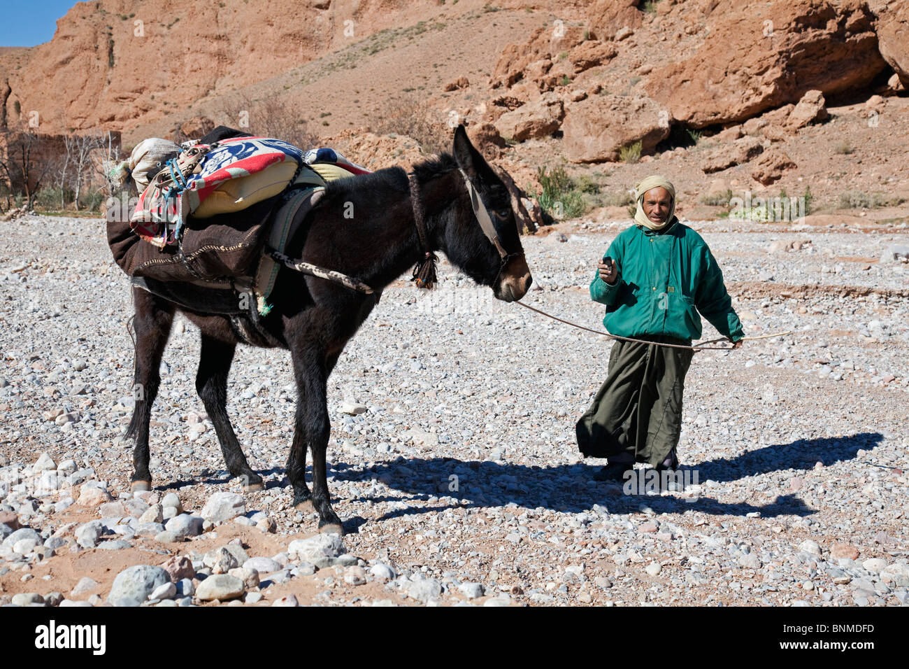 Dried river bed (oued) above the Dades Gorge with hill farmer and mule, Dades Valley, Central Morocco Stock Photo