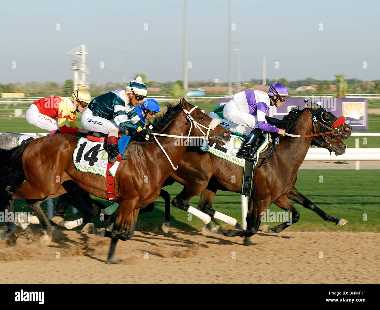 godolphin mile, sport,horse racing in Dubai,world cup Stock Photo