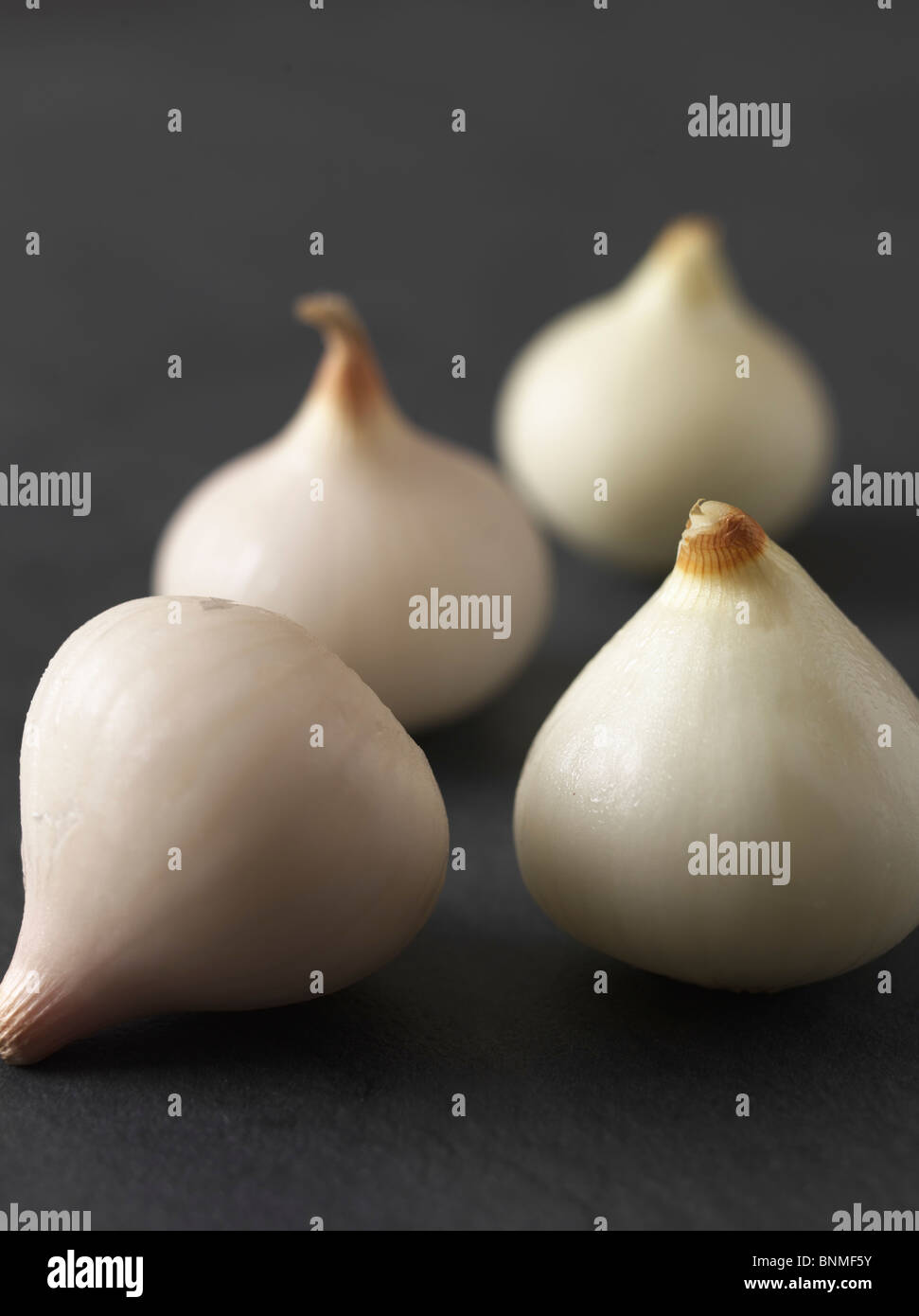White hulled hi-res stock photography and images - Alamy
