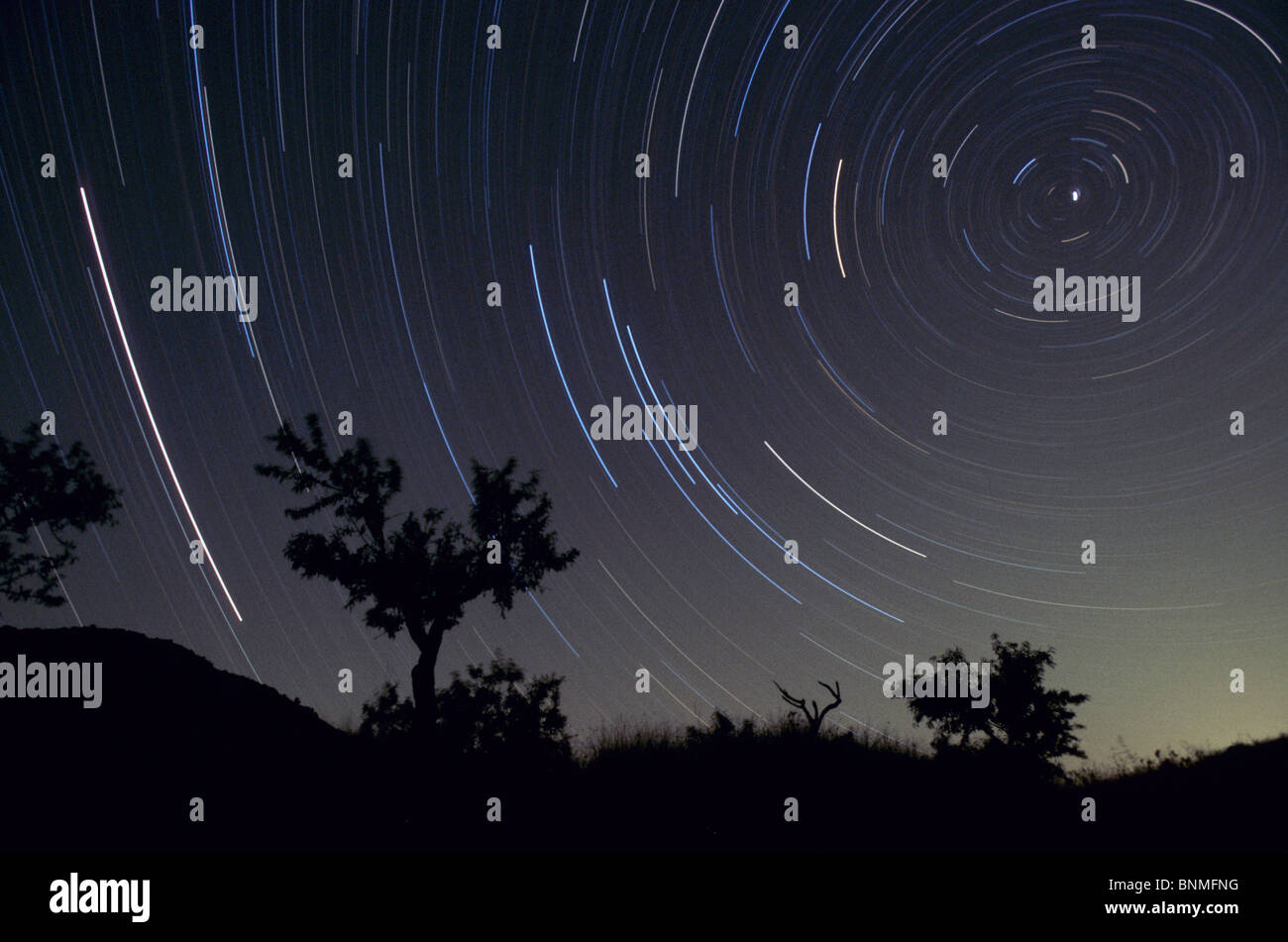 landscape night tree stars star move movement line summer sky open sky ...