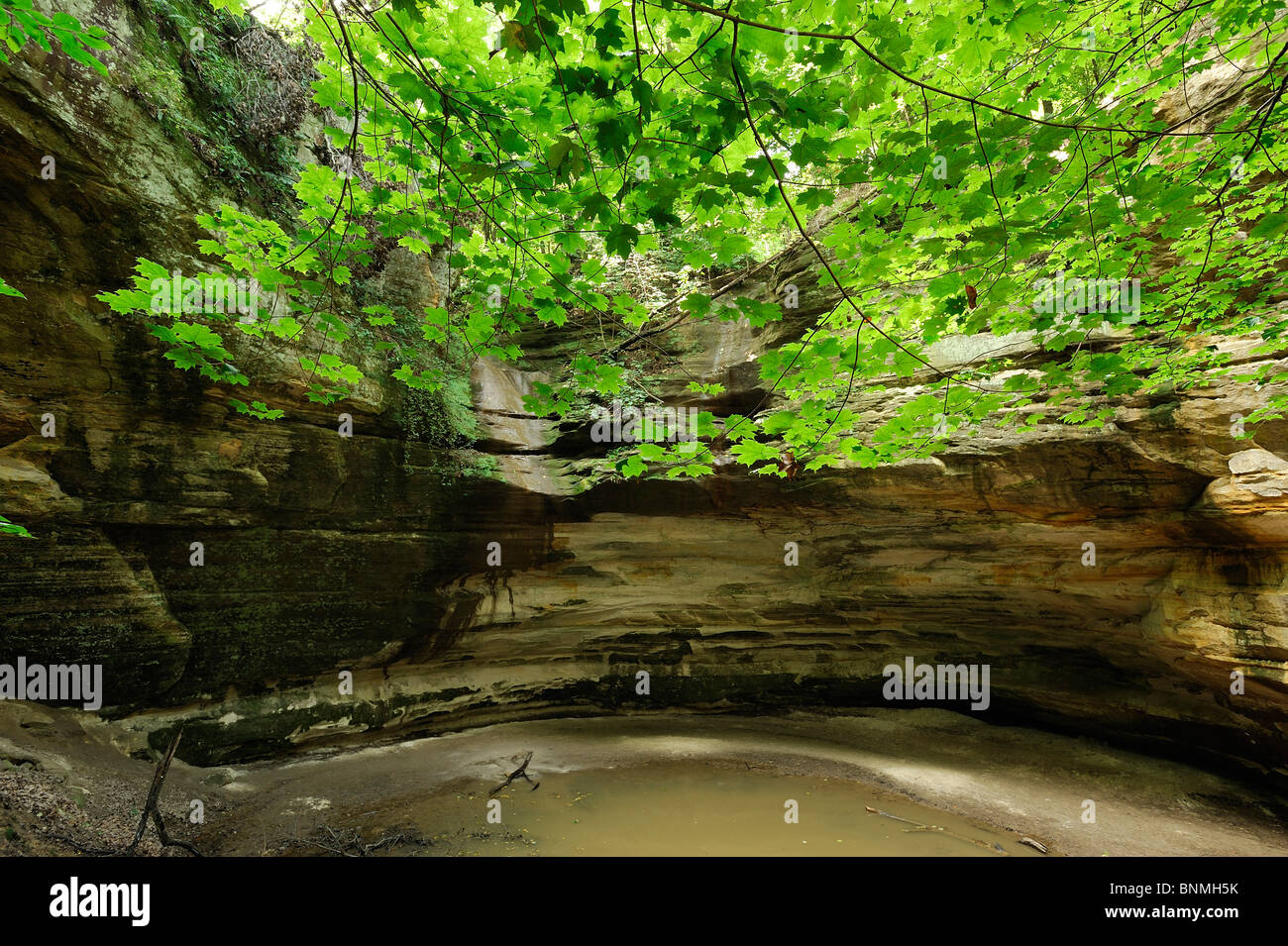 Rock Cave Ottawa Canyon Starved Rock State Park Utica Illinois cave