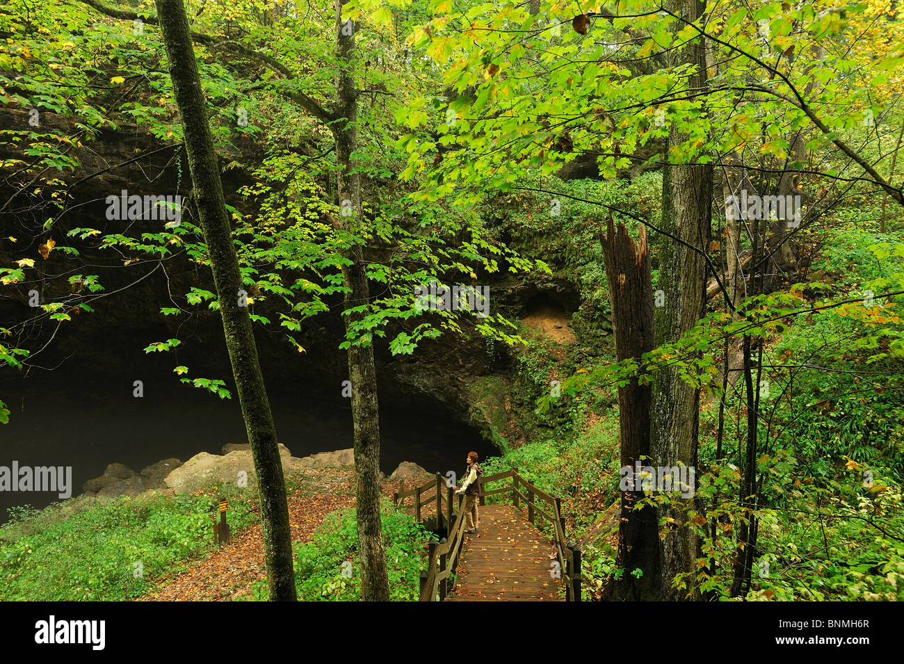 Person woman standing viewing platform stairway Maquoketa Caves State Park Iowa USA wood nature green autumn America North Stock Photo