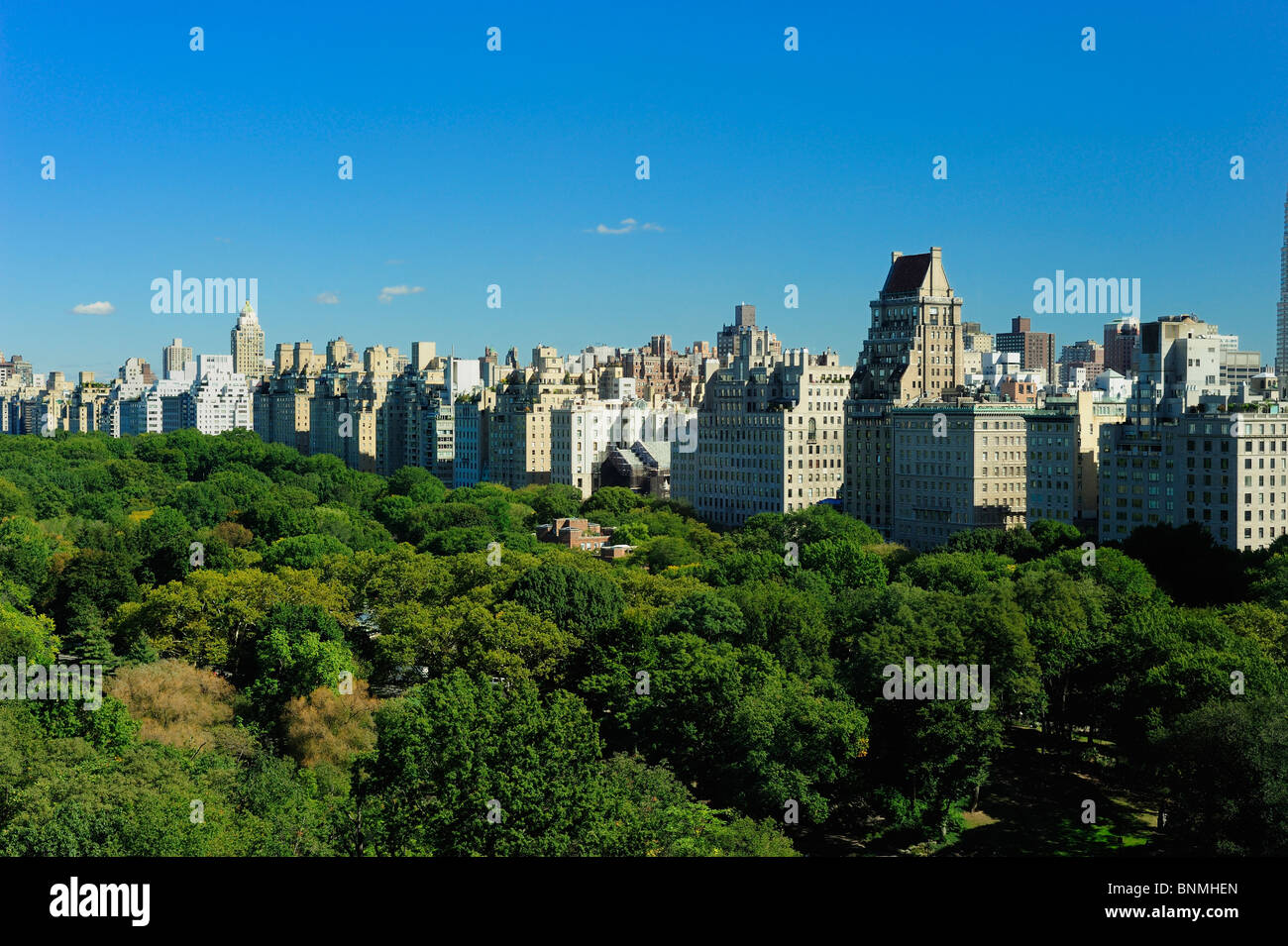 New York City park green trees skyline buildings Central Park Midtown