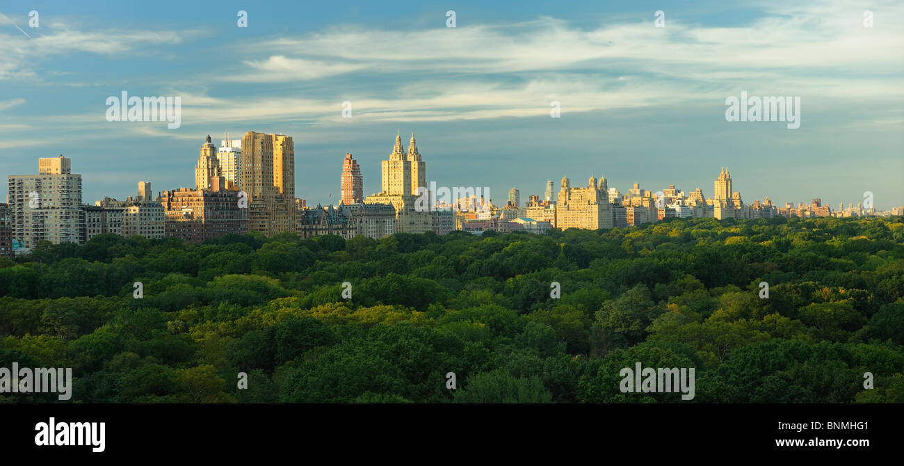 New York City park green trees skyline buildings Central Park New York