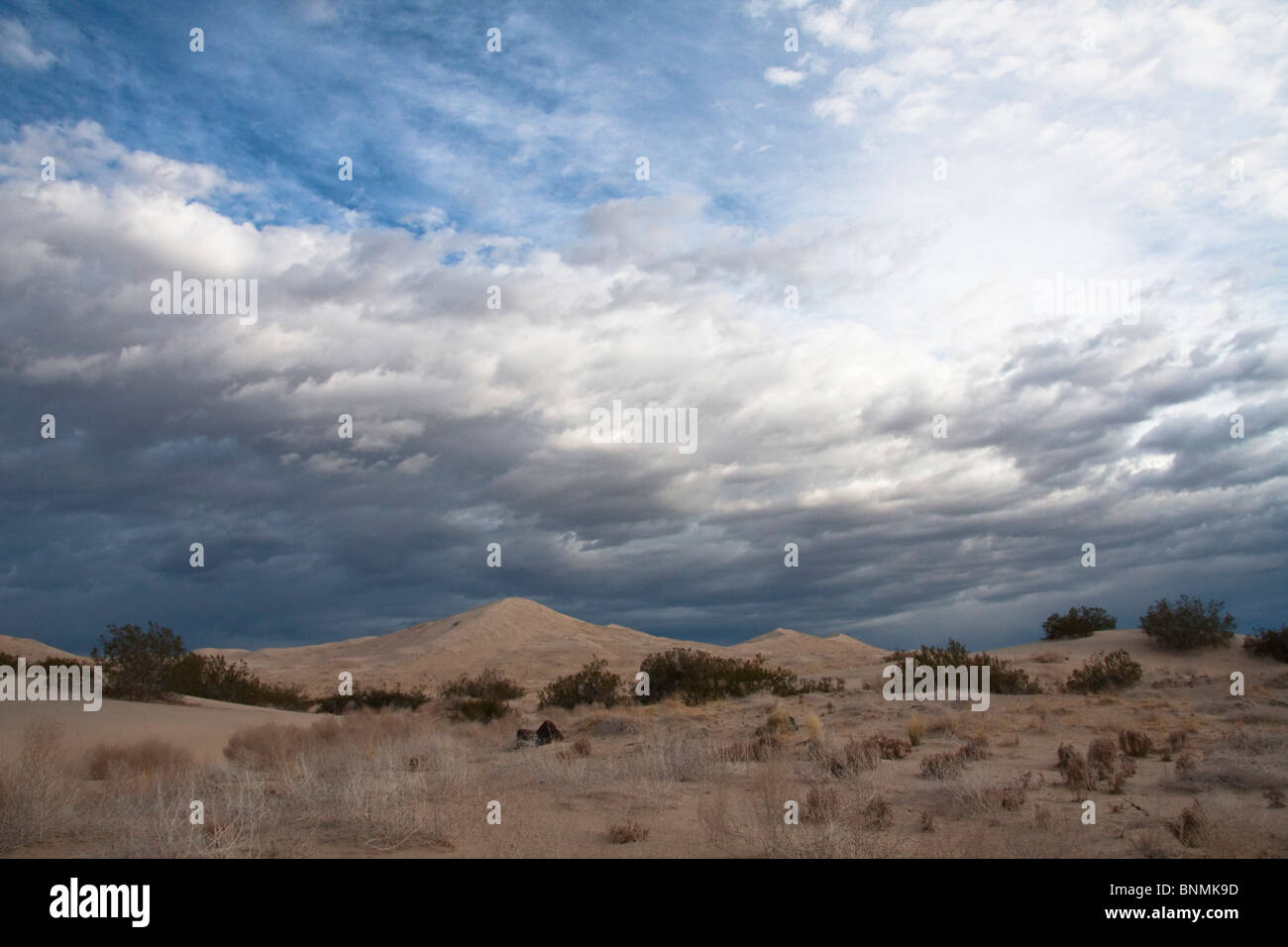 Kelso dunes, Mojave national preserve, California. Stock Photo