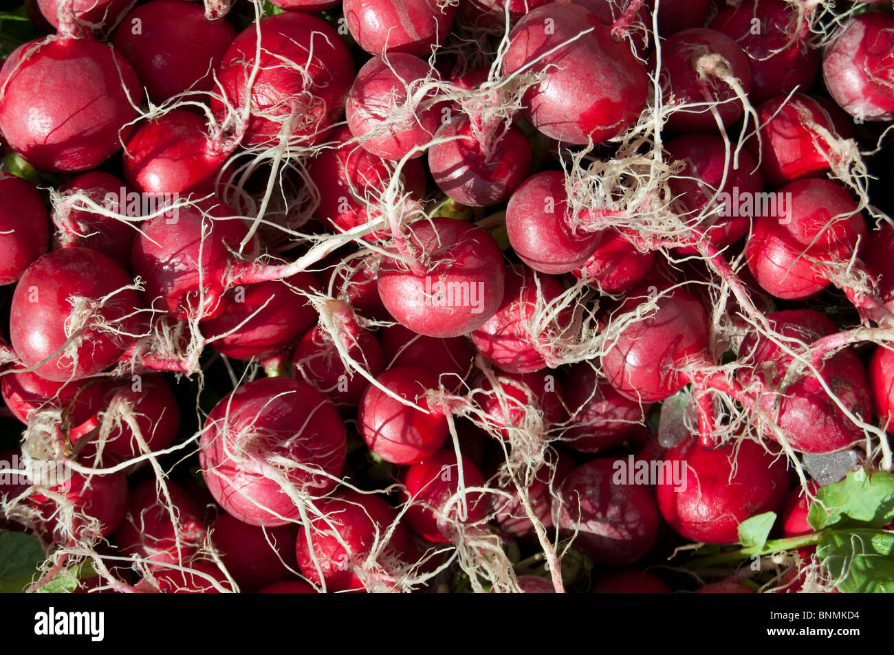 Radishes at a farmer's market stall, Issaquah,Washington Stock Photo