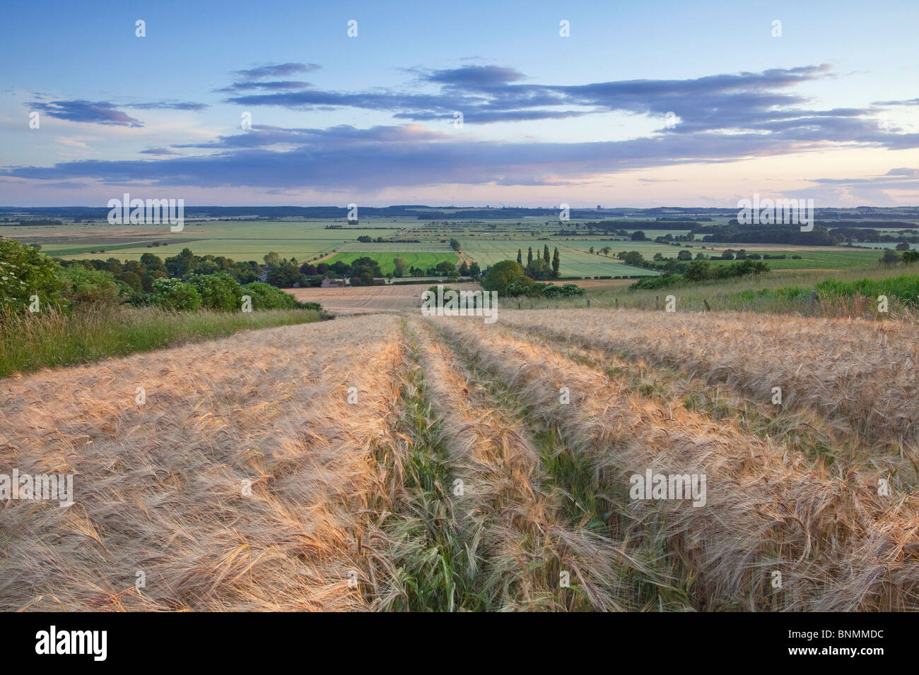 A view of the River Ancholme valley from a barley field on the Lincolnshire Wolds on a summer evening Stock Photo