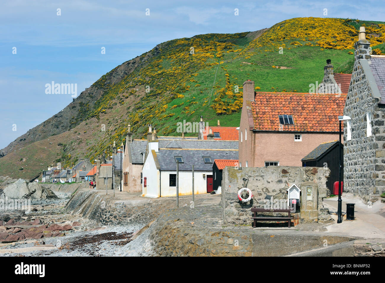 Narrow row house hi-res stock photography and images - Alamy