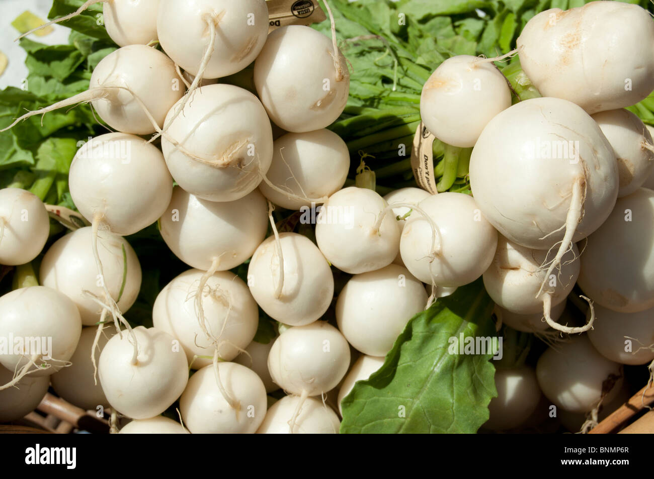 Radishes at a farmer's market stall, Issaquah,Washington Stock Photo